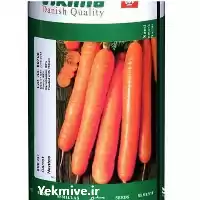 قیمت خرید بذر هویج کینگ تاکی در تبریز در گروه خرید و فروش بذر هویج در یکمیوه