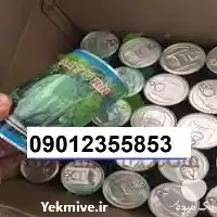 بذر هندوانه میکادو پر فروش اصل در گروه خرید و فروش هندوانه در یکمیوه