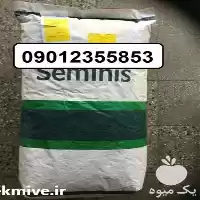 قیمت خرید بذر نخود فرنگی سمینیس در ساری در گروه خرید و فروش بذر نخود در یکمیوه