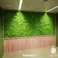 فروش تولید گرین وال مدل خزه در گروه سازنده در یکمیوه