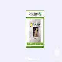 فروش بذر ذرت شیرین سلین استلاسیدز در گروه خرید و فروش بذر ذرت در یکمیوه