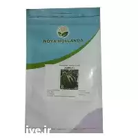 فروش بذر هندوانه نویا هولاندا در زنجان در گروه خرید و فروش بذر هندوانه در یکمیوه