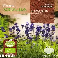 فروش بذر اسطوخودوس بیولوژیک در ارومیه در گروه خرید و فروش انواع بذر در یکمیوه