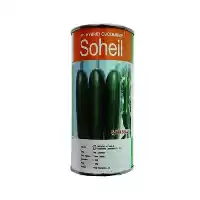 فروش سهیل بذر خیار در گروه خرید و فروش بذر خیار در یکمیوه