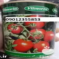 فروش خیار ویلمورین با قیمت مناسب در کرج در گروه خرید و فروش بذر خیار در یکمیوه