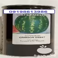 قیمت خرید صادرات بذر هندوانه کریمسون در زاهدان در گروه خرید و فروش بذر هندوانه در یکمیوه
