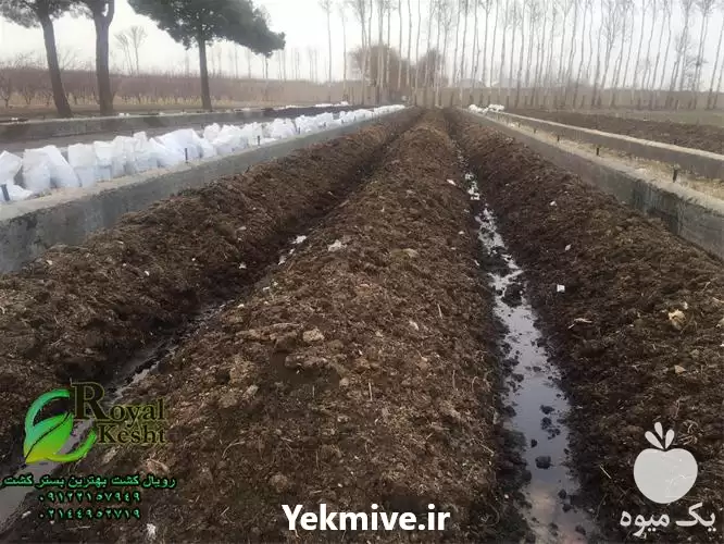 قیمت خرید کود های ارگانیک در تهران در گروه خرید و فروش کود کمپوست در یکمیوه -عکس1