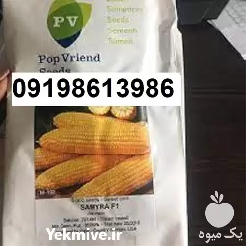 پخش فروش بذر ذرت سمیرا پرفروش در اهواز در گروه خرید و فروش بذر ذرت در یکمیوه -عکس1