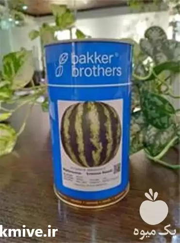 قیمت خرید بذر هندوانه سفید بیکر در اصفهان در گروه خرید و فروش بذر هندوانه در یکمیوه -عکس1