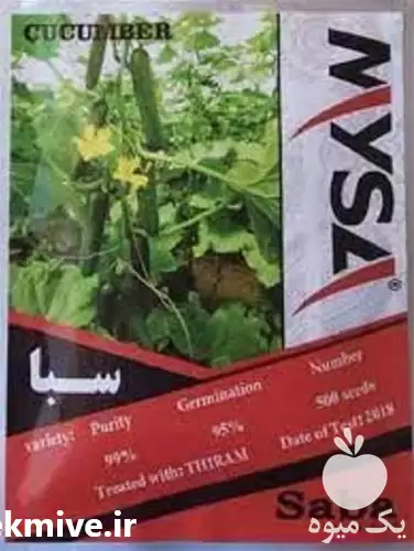 فروش توزیع خیار سبا بذر خوب در یزد در گروه خرید و فروش بذر خیار در یکمیوه -عکس1
