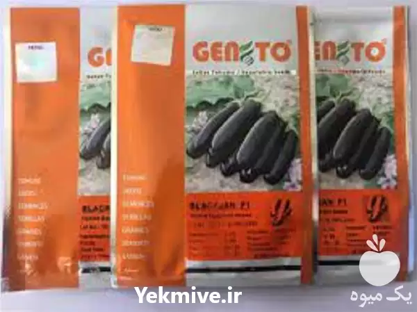 قیمت خرید بادمجان قلمی بلک جان در سمنان در گروه خرید و فروش بادمجان در یکمیوه -عکس1