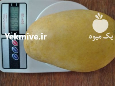 انواع نهال انبه پیوندی در گروه خرید و فروش نهال انبه در یکمیوه -عکس2