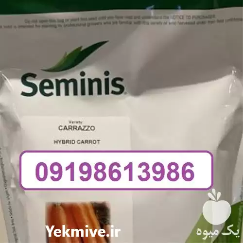 فروش بذر هویج کارورا در اهواز در گروه خرید و فروش دستگاه هویج در یکمیوه -عکس1