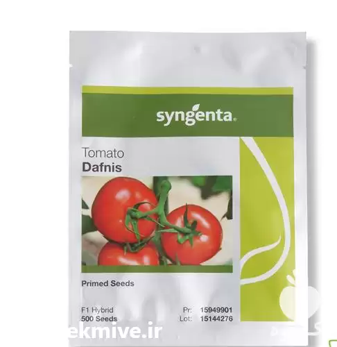 فروش دافنیس بذر گوجه گلخانه ای در تهران در گروه خرید و فروش بذر گوجه در یکمیوه -عکس1