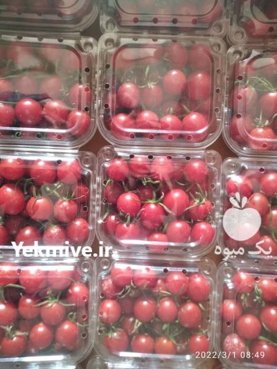 فروش کارتن کوجه زیتونی ارزان در تیران در گروه خرید و فروش انواع بسته بندی کارتن در یکمیوه -عکس3