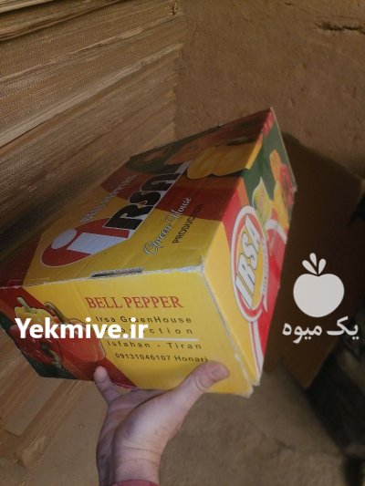 فروش کارتن کوجه زیتونی ارزان در تیران در گروه خرید و فروش انواع بسته بندی کارتن در یکمیوه -عکس4