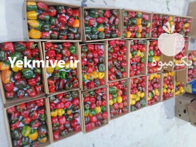 فروش کارتن پلاست در تیران در گروه خرید و فروش انواع بسته بندی کارتن در یکمیوه -عکس1