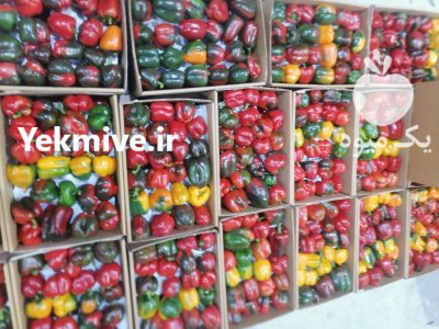 فروش کارتن پلاست در تیران در گروه خرید و فروش انواع بسته بندی کارتن در یکمیوه -عکس2