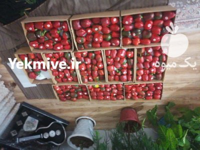 فروش کارتن پلاست در تیران در گروه خرید و فروش انواع بسته بندی کارتن در یکمیوه -عکس3