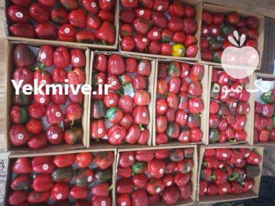 فروش کارتن پلاست در تیران در گروه خرید و فروش انواع بسته بندی کارتن در یکمیوه -عکس4