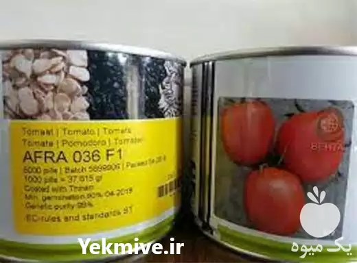 فروش بذر گوجه افرا در اردبیل در گروه خرید و فروش بذر گوجه در یکمیوه -عکس1