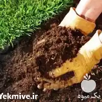 قیمت خرید کود ورمی کمپوست در کرج در گروه خرید و فروش کود کمپوست در یکمیوه