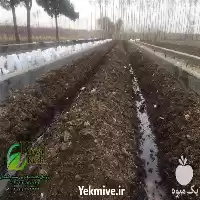 قیمت خرید کود های ارگانیک در تهران در گروه خرید و فروش کود کمپوست در یکمیوه