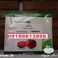 پخش بذر گوجه فرنگی بریویو پرفروش در اهواز در گروه خرید و فروش بذر گوجه در یکمیوه