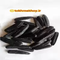 فروش تخمه آفتابگردان شمشیری خوی در گروه خرید و فروش انواع روغن در یکمیوه