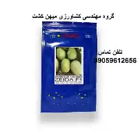 بذر هندوانه زیدا در رشت در گروه خرید و فروش بذر هندوانه در یکمیوه