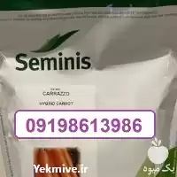 فروش بذر هویج کارورا در اهواز در گروه خرید و فروش دستگاه هویج در یکمیوه