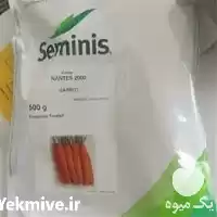 فروش بذر هویج نانتس 2000 سمینیس در گروه خرید و فروش هویج در یکمیوه