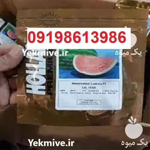 بذر هندوانه هولار پرفروش بذر هندوانه در گروه خرید و فروش بذر هندوانه در یکمیوه -عکس1