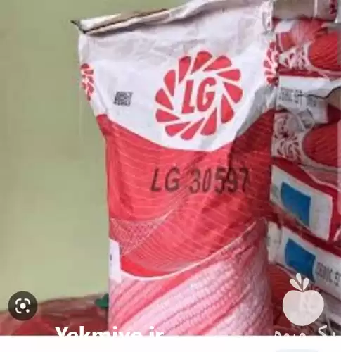 قیمت خرید بذر ذرت الجی 3607 در کرمانشاه در گروه خرید و فروش بذر ذرت در یکمیوه -عکس1