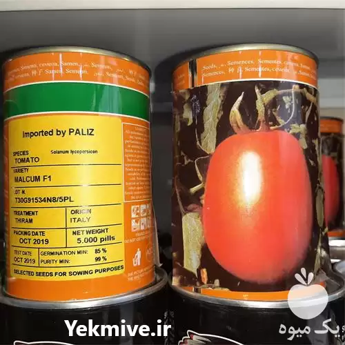 فروش مالکوم بذر گوجه فرنگی در تهران در گروه خرید و فروش بذر گوجه در یکمیوه -عکس1