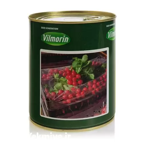 قیمت خرید بذر تربچه نقلی تینتو در تهران در گروه خرید و فروش بذر سبزی در یکمیوه -عکس1