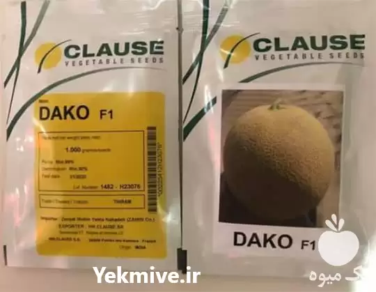 فروش بذر ملون خوش فرم داکو در اهواز در گروه خرید و فروش بذر ملون در یکمیوه -عکس1