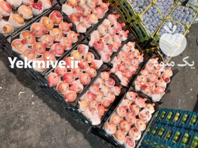 حق العمل کاری میدان تره بار در گروه بارفروشی محصولات کشاورزی در یکمیوه -عکس3