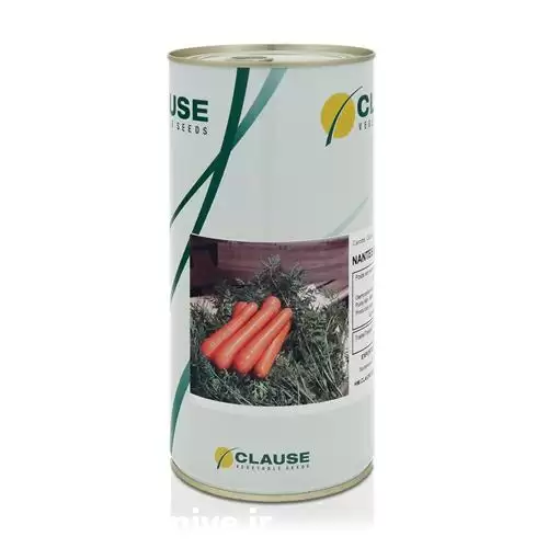 قیمت خرید بذر هویج نانتس ایمپروود در گروه خرید و فروش بذر هویج در یکمیوه -عکس1