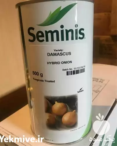 فروش بذر پیاز منیروا در رشت در گروه خرید و فروش بذر پیاز در یکمیوه -عکس1
