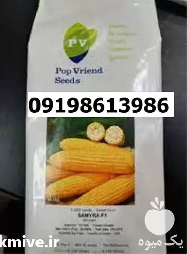 بذر ذرت سمیرا پرفروش اصل در گروه خرید و فروش ذرت در یکمیوه -عکس1