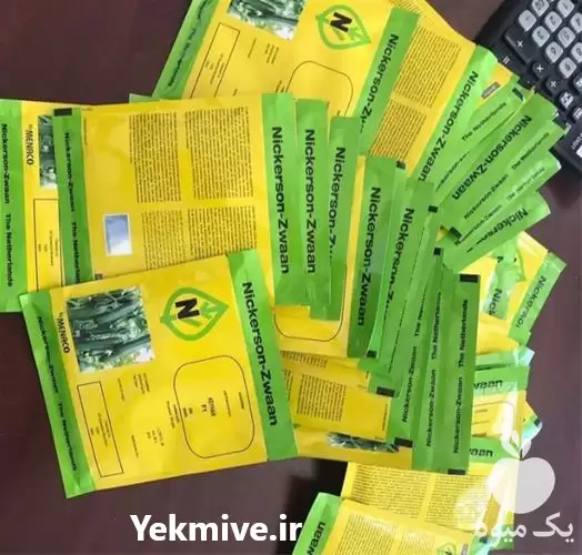 قیمت خرید بذر خیار کیهان قیمت در قزوین در گروه خرید و فروش بذر خیار در یکمیوه -عکس1