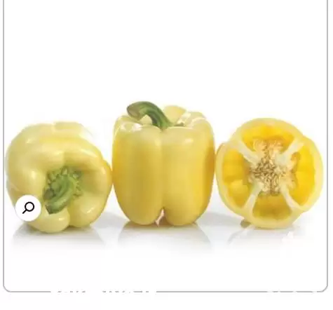 فروش بذر فلفل دلمه مارادونا در گروه خرید و فروش بذر فلفل در یکمیوه -عکس1