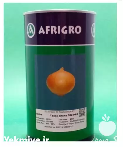 قیمت خرید بذر پیاز زرد روز در ارومیه در گروه خرید و فروش بذر پیاز در یکمیوه -عکس1