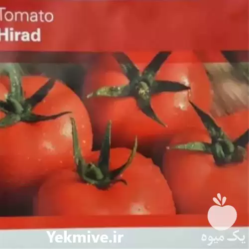 فروش بذر گوجه فرنگی هیراد در تهران در گروه خرید و فروش بذر گوجه در یکمیوه -عکس1