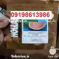 بذر هندوانه هولار پرفروش بذر هندوانه در گروه خرید و فروش بذر هندوانه در یکمیوه