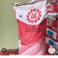 قیمت خرید بذر ذرت الجی 3607 در کرمانشاه در گروه خرید و فروش بذر ذرت در یکمیوه