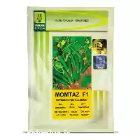 فروش بذر خیار ممتاز در گروه خرید و فروش بذر خیار در یکمیوه