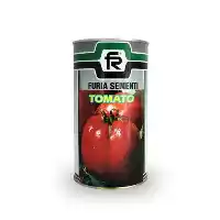 فروش بذر گوجه فرنگی رداستون در همدان در گروه خرید و فروش بذر گوجه در یکمیوه