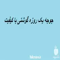 قیمت خرید بهترین قیمت جوجه یک در تهران در گروه مرغ و خروس و بوقلمون و اردک قو قاز در یکمیوه